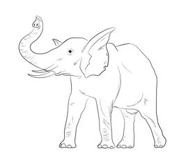 Foto op Canvas Elephant Sketching Vector Illustration © CreativeBucket