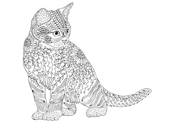 Hand drawn cat. Sketch for anti-stress adult coloring book in zen-tangle style. Vector illustration  for coloring page.