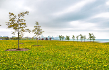 Chicago south lake shore, spring landscape of green field with yellow flowers, and trees.