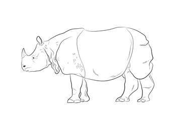 Rhinoceros Drawing Vector Illustration