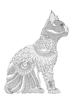 Hand drawn cat. Sketch for anti-stress adult coloring book in zen-tangle style. Vector illustration  for coloring page.