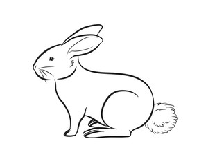 Cartoon Rabbit Outlining Vector Illustration