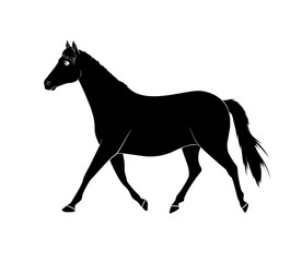 Horse Silhouette Vector