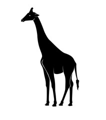 Giraffe Silhouette Vector