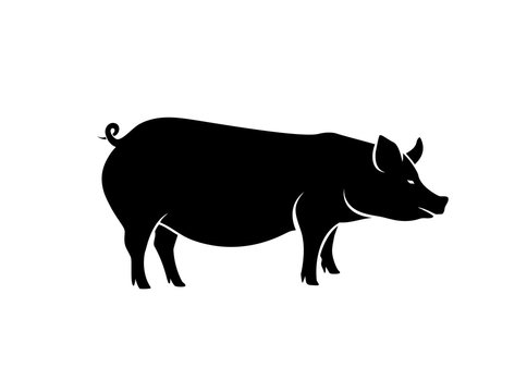 Pig Silhouette Vector