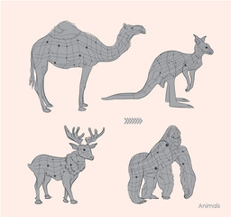 Various Animals Sketching and Line Art Vector Set