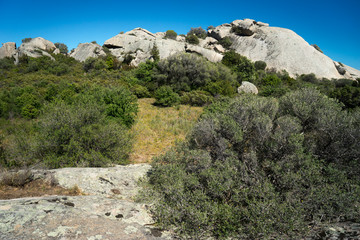 Granitfelsen bei Arzachena, Sardinien