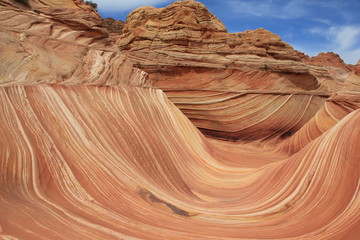 USA Arizona Coyote South Butte The Wave