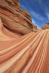 USA Arizona Coyote South Butte The Wave