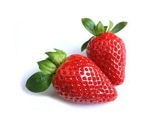 Closed up a Pair of Vibrant Red Fresh Ripe Strawberry Fruits Isolated on White Background 