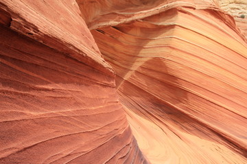 USA Arizona Coyote South Butte The Wave