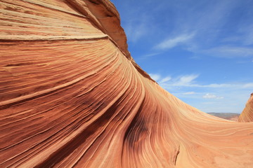 USA Arizona Coyote South Butte The Wave