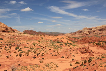 Naklejka premium USA Arizona Coyote South Butte The Wave