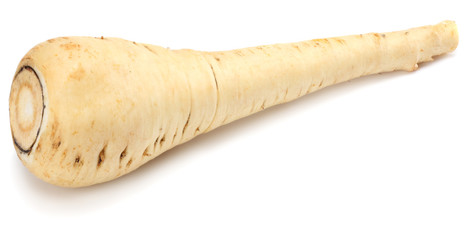 Parsnip isolated on the white background close up