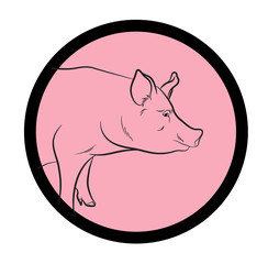 Pig Face Closeup Vector