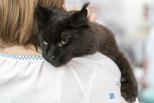 Big Black Cat On The Shoulder