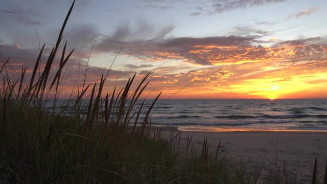 Beach grass blowing in breeze against beautiful sunset over lake