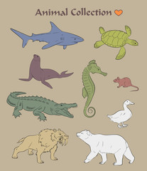 Wild Animals Collection Vector