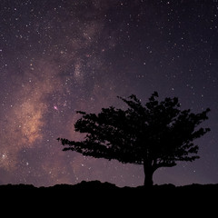 Obraz na płótnie Canvas Night landscape with colorful milky way and stars