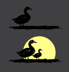 Duck Birds Going Back to Home in Evening Vector