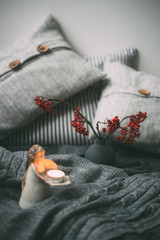 Warm knitted sweater, pillows and rowan berry. Autumn concept