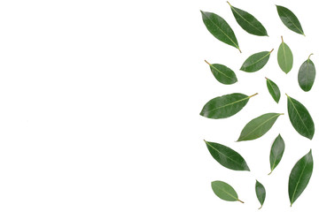 laurel isolated on white background with copy space for your text. Fresh bay leaves. Top view. Flat lay pattern