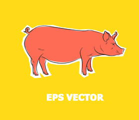 Cartoon Pig Drawing Filled with Color Vector