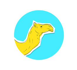 Camel Face Closeup Vector