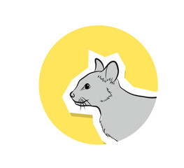 Cat Face Closeup Vector