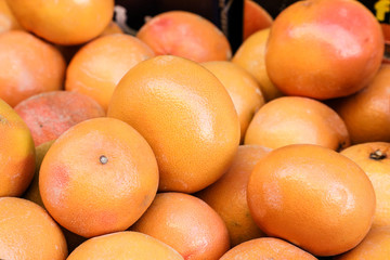 Orange grapefruits at the market