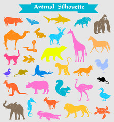 Colored Zoo Animals Silhouettes Set
