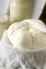 Homemade dairy products: cottage cheese, sour cream and milk on a white background. Style rustic.