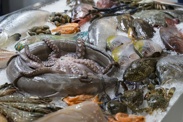 Background of fresh seafood fish clams crabs 