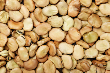 raw beans as background