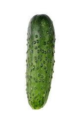 ripe cucumber isolated