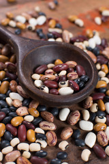 Fototapeta na wymiar Variety of protein rich colorful raw dried beans