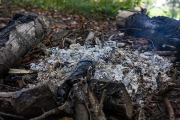 bbq place in forrest with small fire burning and grey ash
