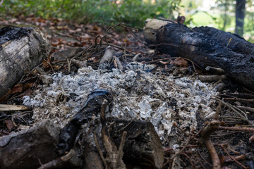 bbq place in forrest with small fire burning and grey ash