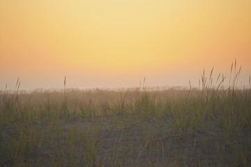 Obraz premium Sunset landscape meadow at ocean/Background sunset of grassy meadow at beach in soft lighting