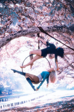 young women aerial hoop  dance in forest