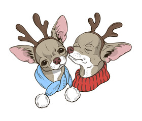 two cute dogs in New Year's costumes, pets chihuahua in deers costumes, christmas illustration, vector