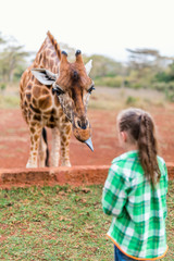 Cute little girl feeding giraffes in Africa