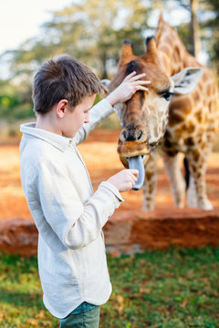 Young boy feeding giraffes in Africa