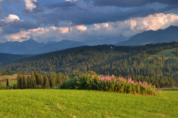 Tatry Wysokie z Gliczarowa