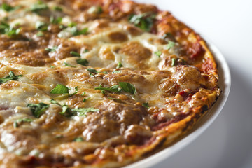 Tasty pizza with  pepperoni