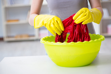 Woman doing cleaning at home