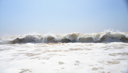 Beautiful wave in the ocean 