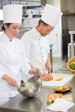 male and female chefs working at restaurant kitchen
