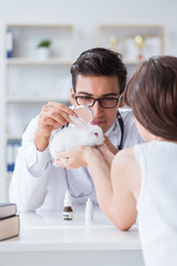 Woman with pet rabbit visiting vet doctor