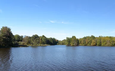 Fleecedeken met foto Trees on the shore of a blue lake in late summer © John Wijsman